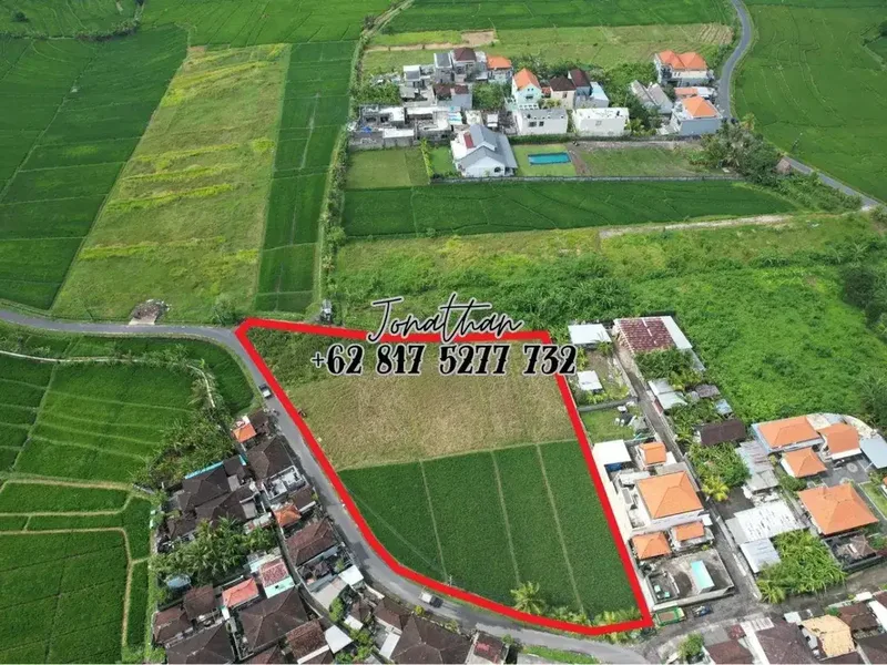 Disewakan Tanah Zona Kuning di Kaba Kaba Tabanan (minimal ambil 10 are) - LLWY - Real Estate in Bali