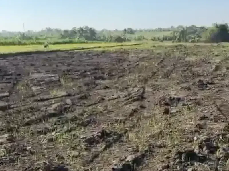 Land for sale in Kerambitan, Bali - Real Estate in Bali