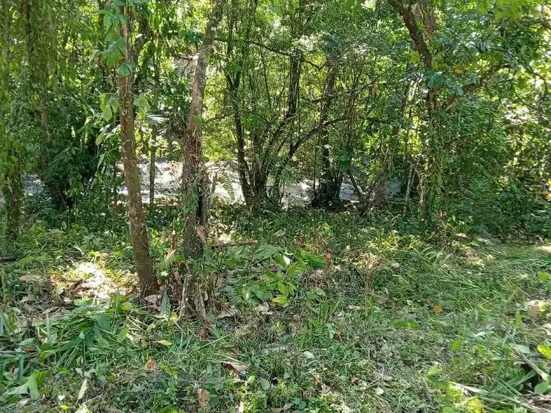 jual tanah kebun los sungai - Bali in Bali