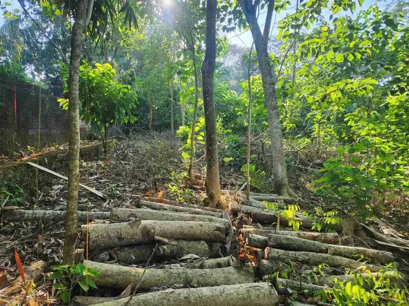 TANAH DEKAT NYANYI KEDUNGU TANAHLOT COCOK UNTUK VILLA ATAU KAVLING VILLA PANDAK TABANAN - Bali in Bali