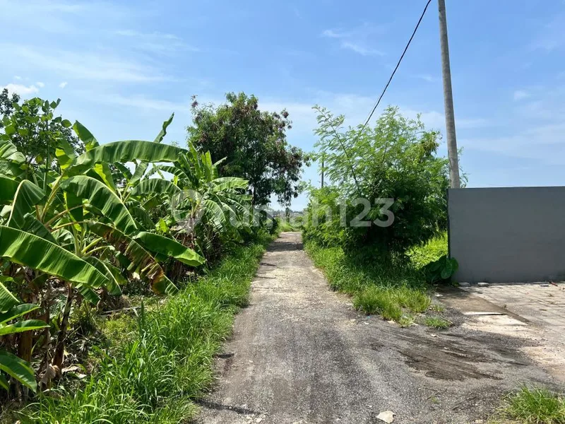Tanah Di Jl. Pantai Berawa Tibubeneng Canggu Shm 1085.0 MÂ² - Real Estate in Bali