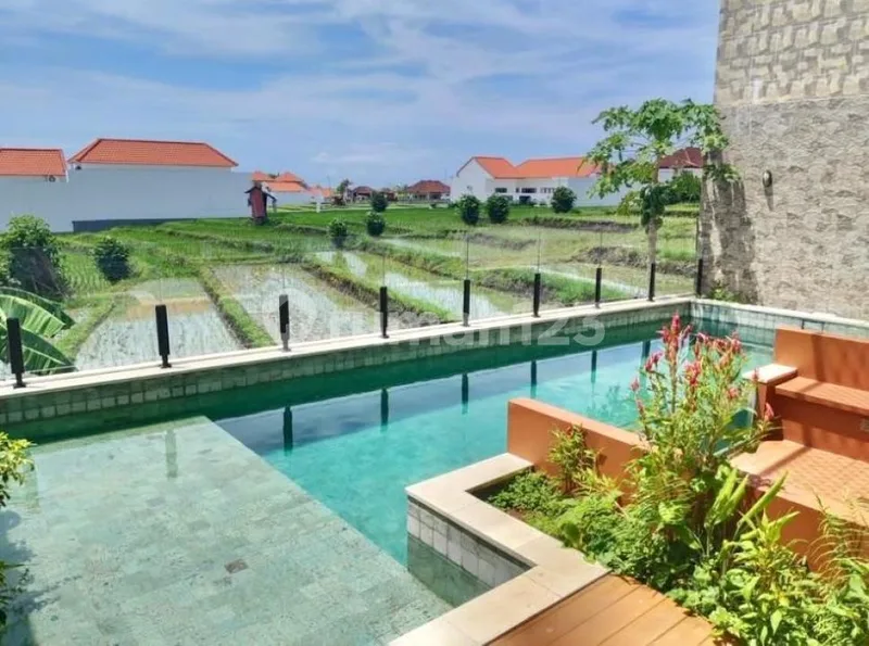 Villa Rice Field View In Padonan Canggu - Real Estate in Bali