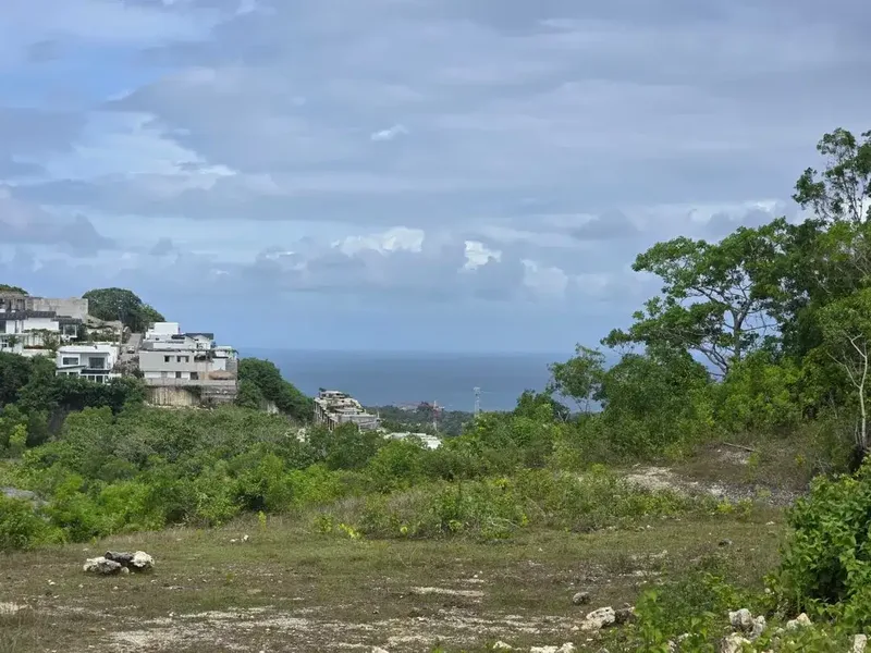 TANAH DI JUAL ATAU DI SEWAKAN VIEW LAUT LOKASI BINGIN CEMONGKAK - Real Estate in Bali