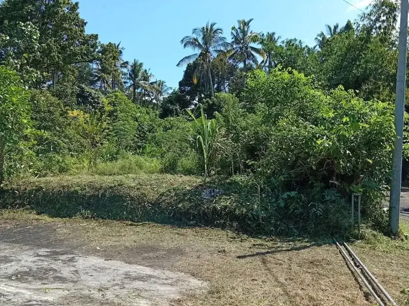 Tanah Riverside 78,5 Are Zona Kuning Dijual di Penebel Tabanan - Real Estate in Bali