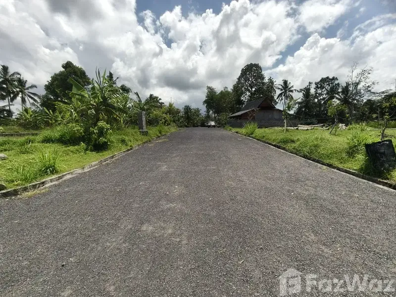 Land for sale in Tegallalang, Bali - Real Estate in Bali