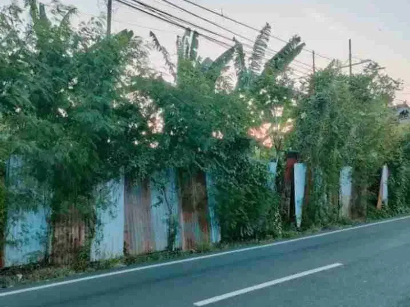 BU murah jual tanah 10,5 are di Tunjung Sari Denpasar - Real Estate in Bali
