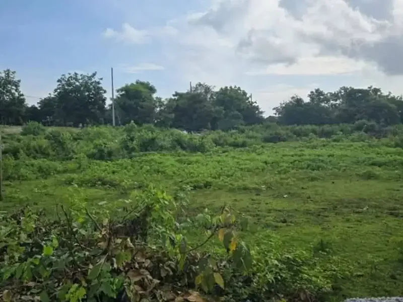 tanah bagus cocok untuk komersil - Real Estate in Bali