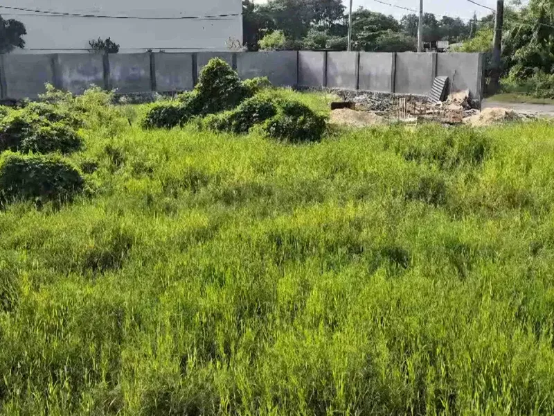 Land in Sanur - Real Estate in Bali