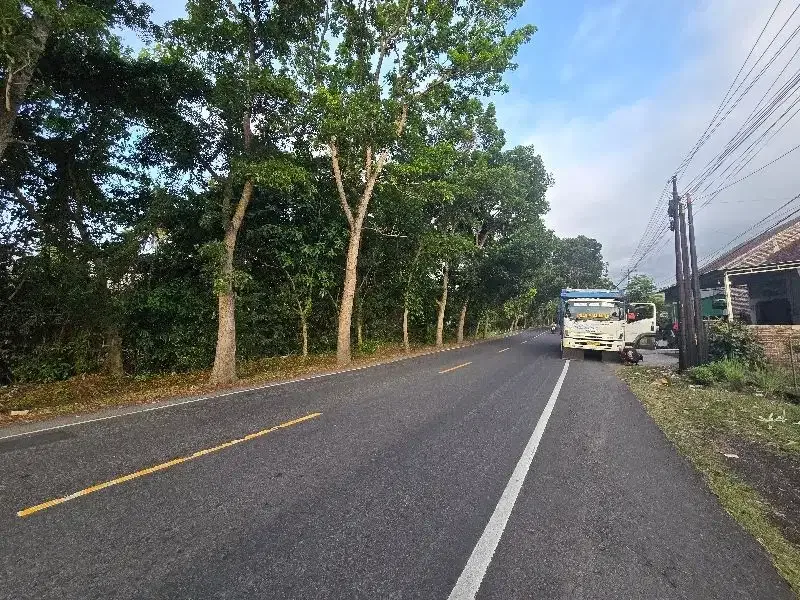 DI jual tanah datar pruntukan industri di jembrana bali - Bali in Bali
