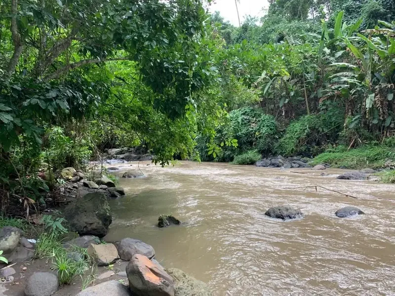 TANAH LOS SUNGAI COCOK UNTUK VILLA LOKASI BUWIT TABANAN - Bali in Bali