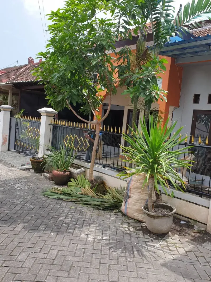 Rumah Jimbaran Disewakan 2 Lantai SHM Taman Griya, Tahunan - Real Estate in Bali