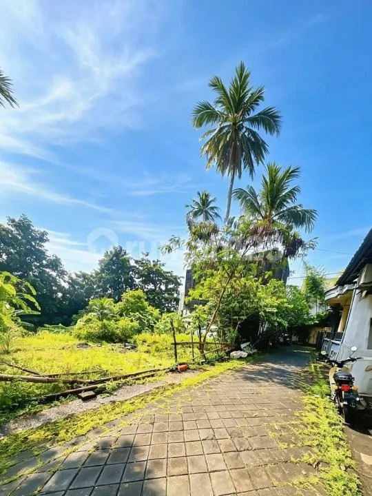 Tanah 135M2, Sangat Bagus, Tegal Cupek, Umelas - Kuta - Bali - Bali in Bali