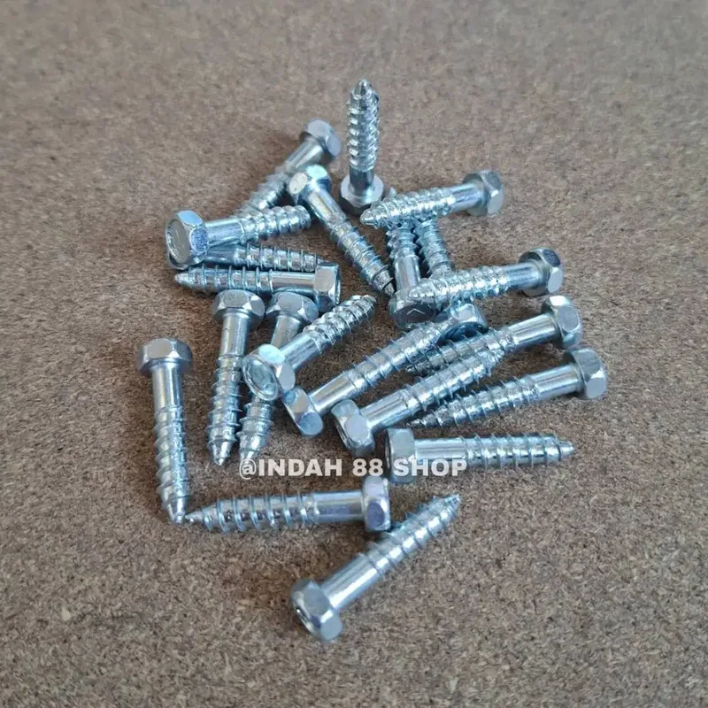 ISI 10pcs - Deskrup / Lag Screws Galvanis / Baut Sekrup Fisher - Home & Garden in Bali