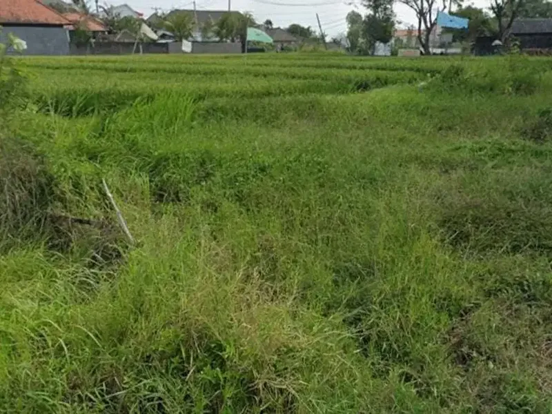 Kavling Area Villa Canggu Bali, Dekat Pantai Batu Bolong - Bali in Bali