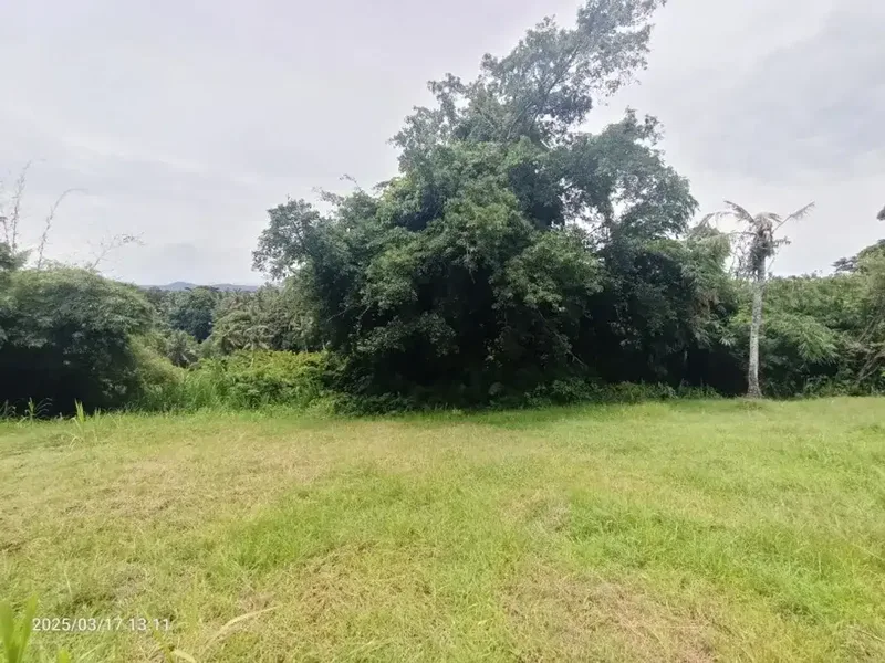 Tanah View Sungai dan Jungle Dekat Pantai Antap Alam Lestari Bali - Bali in Bali
