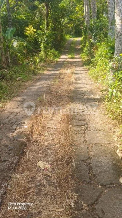Tanah, Strategis SHM, Desa Gadungan Selemadeg Timur - Bali in Bali