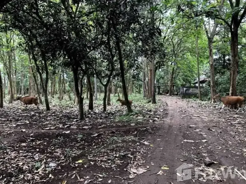 Land for sale in Kaba Kaba, Bali - Real Estate in Bali