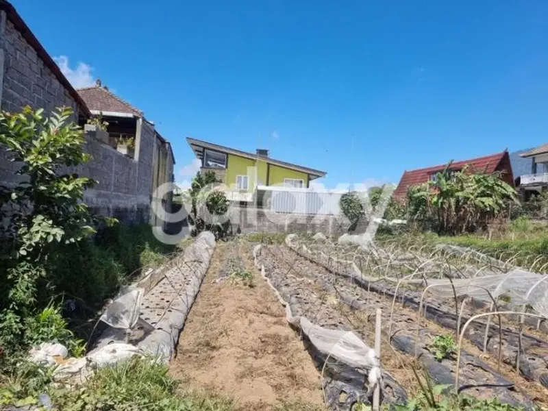 TANAH VIEW GUNUNG DI JEMPIRING CANDIKUNING TABANAN, BALI - Real Estate in Bali