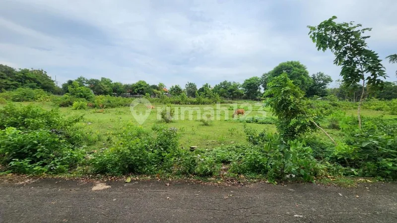 Lahan Dekat Pantai Balangan Jimbaran Bali - Bali in Bali