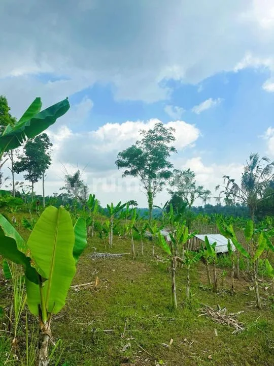 Tanah Dijual di Payangan Ubud Dekat Botanical Garden Gianyar - Real Estate in Bali