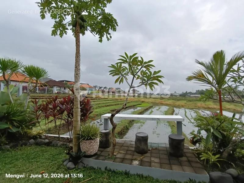 House For Rent - 2Br Fully Furnished With Rice Field View In Beraban, Tabanan | 4 Minutes To Nyanyi Beach & Nuanu - Real Estate in Bali