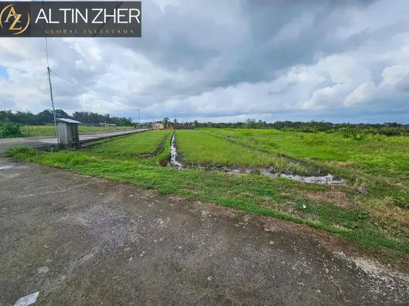 Tanah sewa exclusive di kedungu cocok untuk villa - Real Estate in Bali