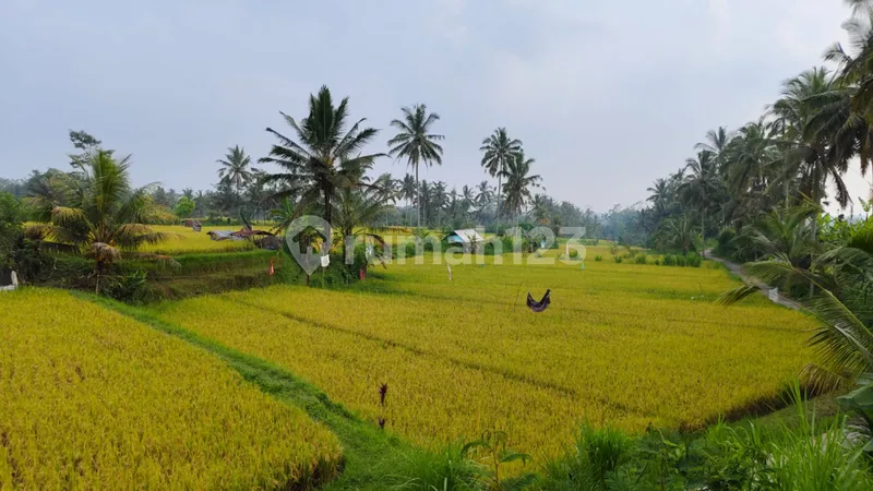 Dijual Tanah View Cantik Cocok Untuk Hotel Villa Dan Resort - Real Estate in Bali