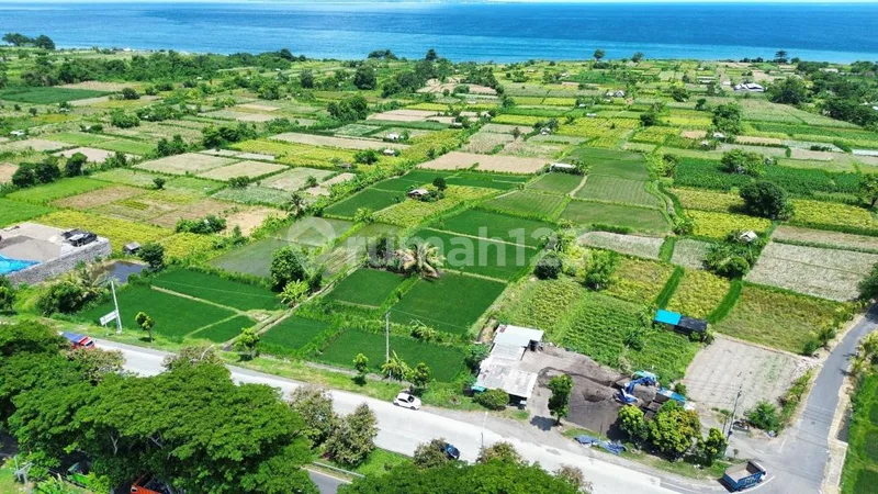 Tanah Premium 29 Are SHM Pinggir Jalan Utama Klungkung Bali - Real Estate in Bali