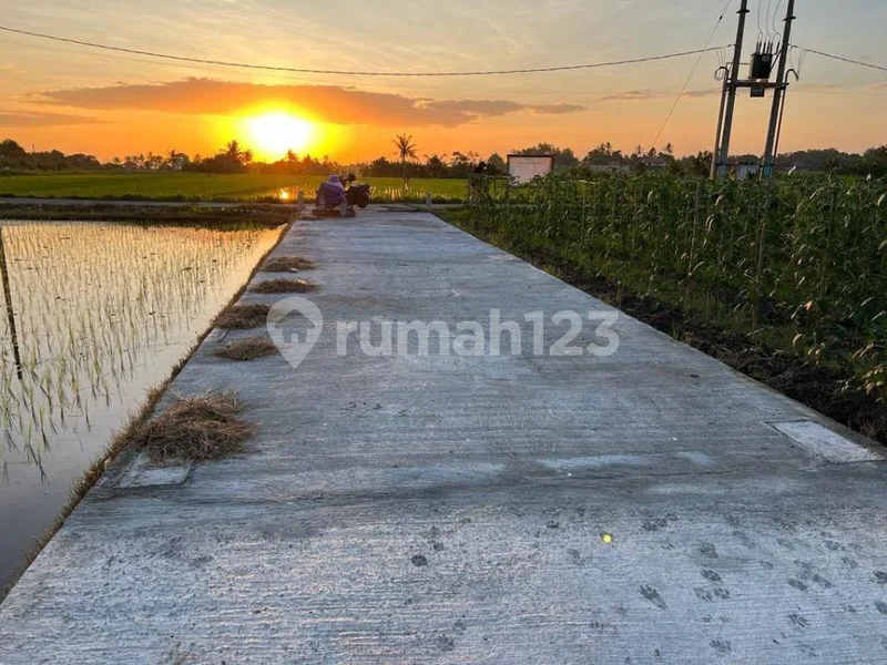 Tanah Murah Zona Pariwisata di Kedungu Bali - Bali in Bali