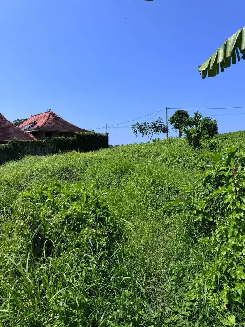 20mnit to Canggu, nyanyi beach - Bali in Bali