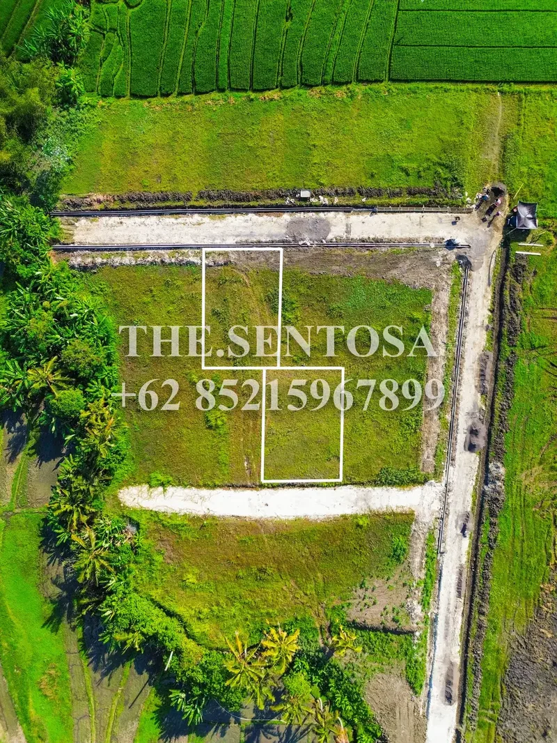 Tanah dekat NUANU LUNA BEACH CLUB BERABAN KEDUNGU - Real Estate in Bali