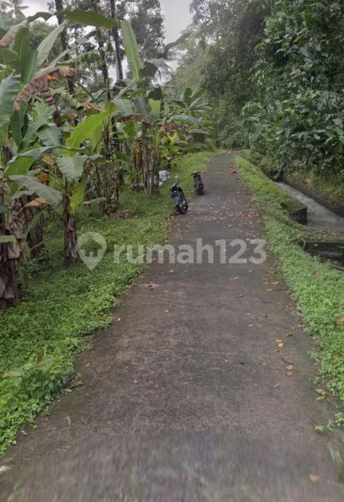 Tanah Dekat Air Terjun Tabanan #Tj0509rl - Bali in Bali