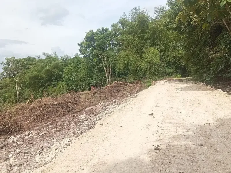 Dijual Dua bidang tanah - Bali in Bali