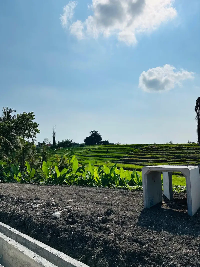 TANAH KEDUNGU view Surga dekat Luna beach club - Real Estate in Bali