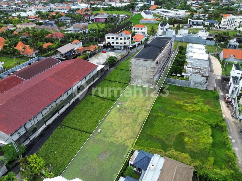 Hot Deal - Land 1220 MÂ² In Berawa Canggu - Pink Zone - Real Estate in Bali