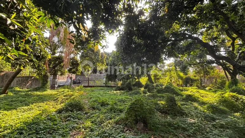 Dijual Cepat Tanah Kondisi Sudah Padat Siap Bangun di Singaraja - Real Estate in Bali