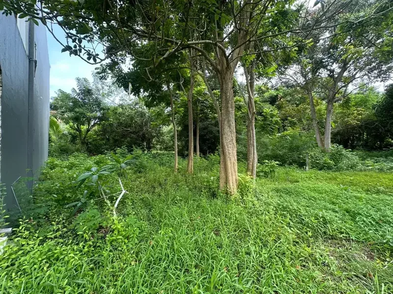 Tanah Eksklusif Di Labuansait - Kawasan Villa Premium, Badung Bali - Bali in Bali