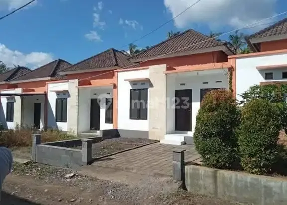 Rumah minimalis 1 km dari jalan antar provinsi di Tabanan Bali - Real Estate in Bali