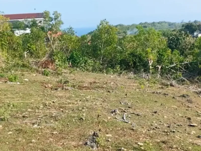 tanah ocean view  47,14 are IDR 550 juta per are dekat pantai green bowl ungasan Badung Bali - Bali in Bali