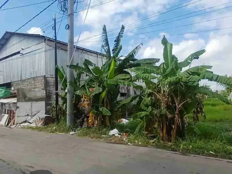 TANAH PREMIUM MAHENDRADATTA SELATAN DENPASAR 
DIJUAL TANAH KOMERSIL KAWASAN GUDANG & GUEST HOUSE 
LOKASI JALAN UTAMA GUNUNG SAMPANG MAHENDRADATTA SELATAN - Real Estate in Bali