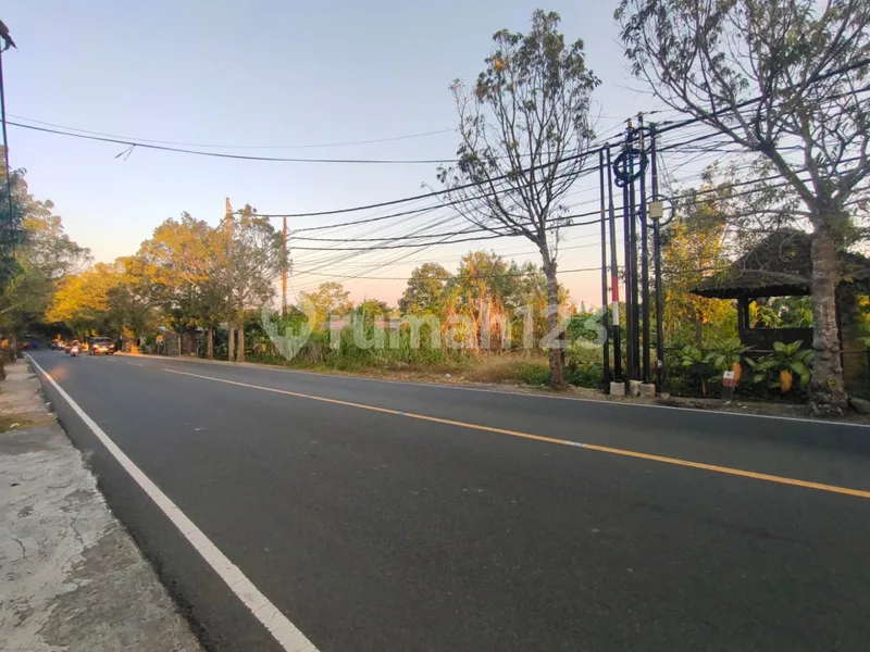 Di Jual Lahan Jalan Utama Ubud SHM View Sungai dan Sawah - Real Estate in Bali