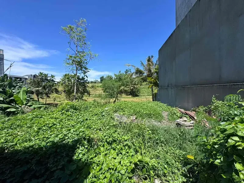Dijual - Tanah Plot Kecil view Sawah Jalur hijau dan sungai
Lokasi Buduk - Real Estate in Bali