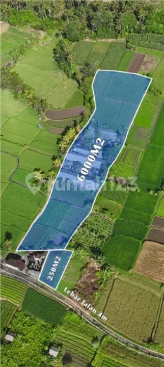 Jual Murah Tanah Pertanian di Sedang Abiansemal Badung - Bali in Bali