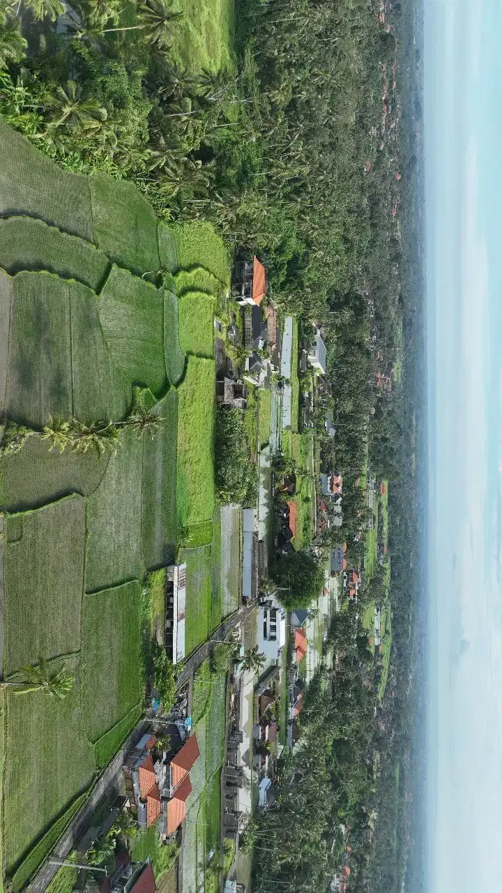 Tanah Siap Bangun View Sawah di Pejeng Ubud - Bali in Bali