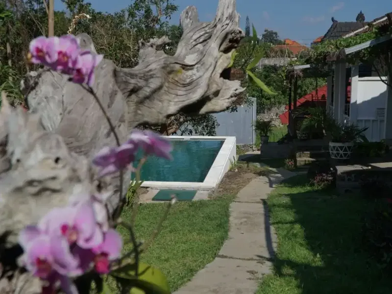 Leasehold - Tropical Oasis in Batu Mejan - 9 Bungalows with Pool & Garden, Canggu, Bali - Real Estate in Bali