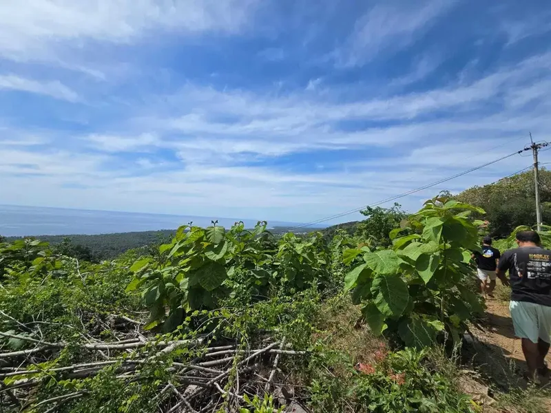 Dijual tanah view laut dekat rencana bali utara - Real Estate in Bali