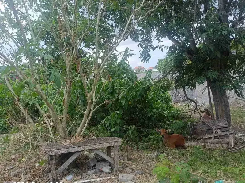 tanah bagus cocok untuk investasi komersil dekat pantai - Real Estate in Bali