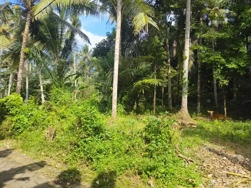 Tanah View Alam Ubud Bisa Ambil 600m2 - Bali in Bali