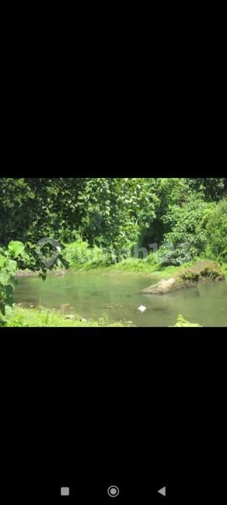 Tanah Los Sungai Wos Lodtunduh Ubud Cocok Villa - Real Estate in Bali