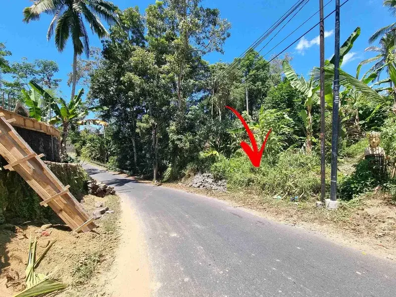 Jual Tanah Pinggir Jalan Tegalang Luas 840m/8.4are Zona Perdangan & Jasa cocok untuk bangunan Komersil - Real Estate in Bali